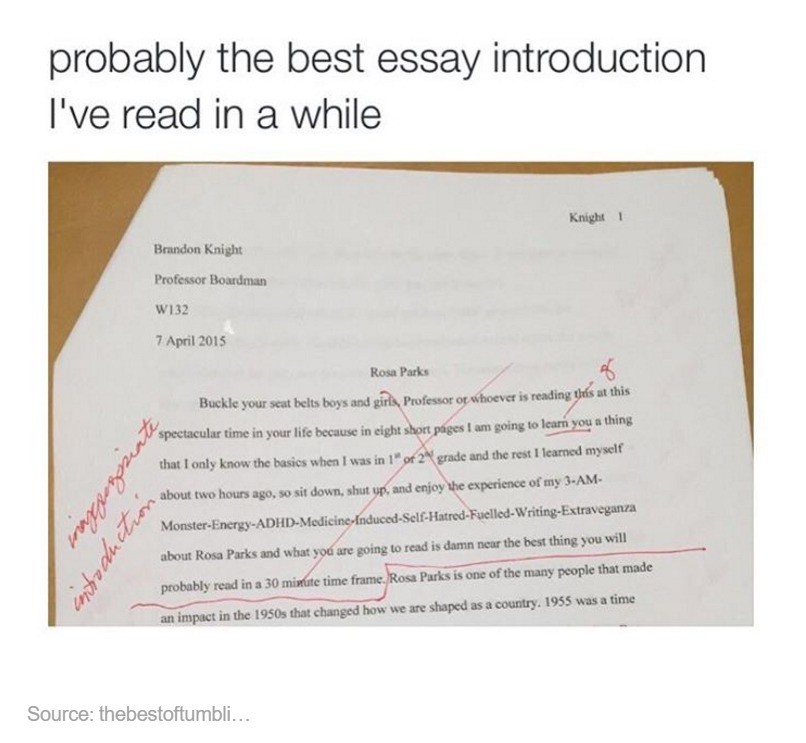 Best essay introduction